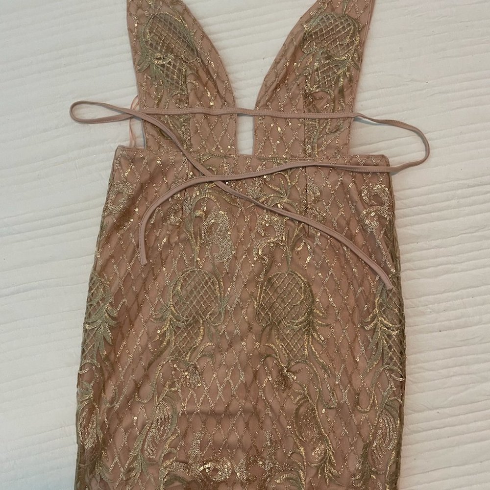 Backless Sideless Nude Embroidered Bodycon Mini Dress